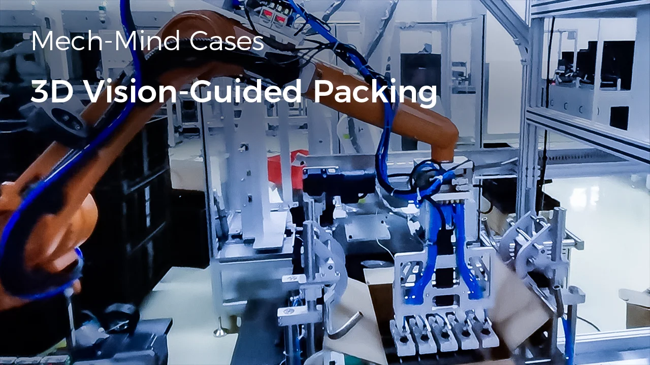 3D Vision-Guided Packing