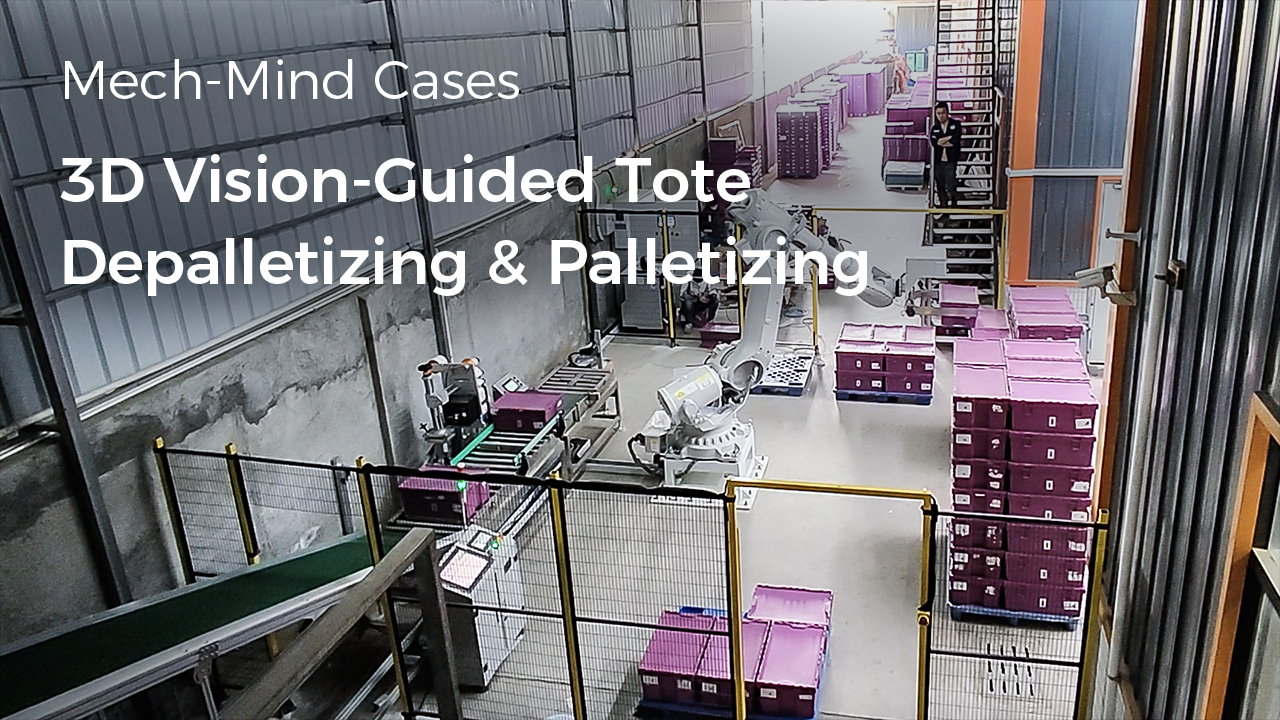 3D Vision-Guided Tote Depalletizing & Palletizing