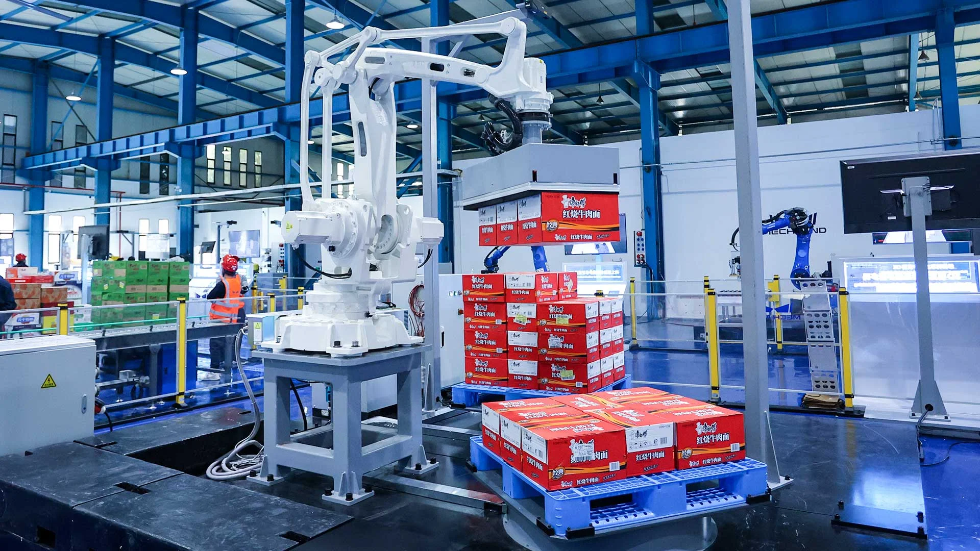 AI + 3D Vision-Guided Case Depalletizing and Palletizing (Multipick)