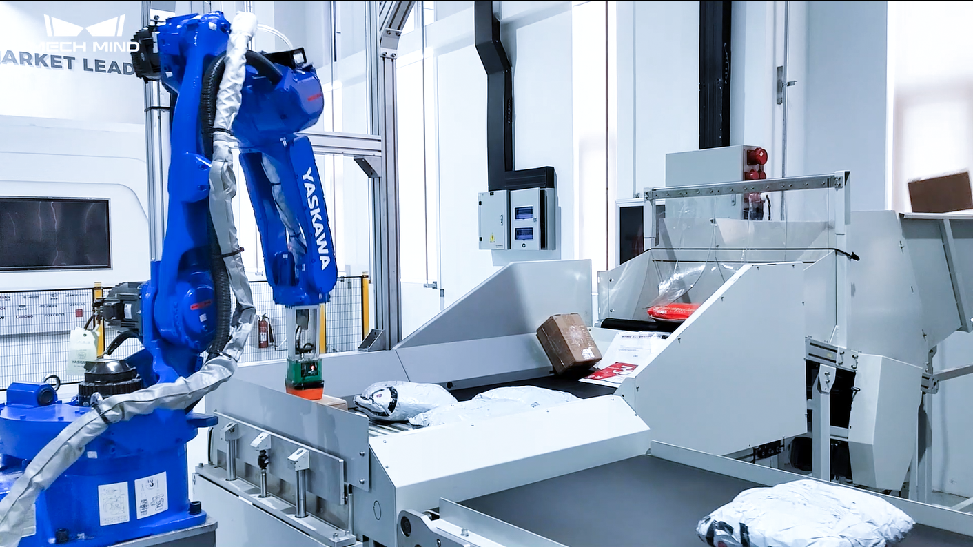 AI + 3D Vision-Guided High-Speed Parcel Induction