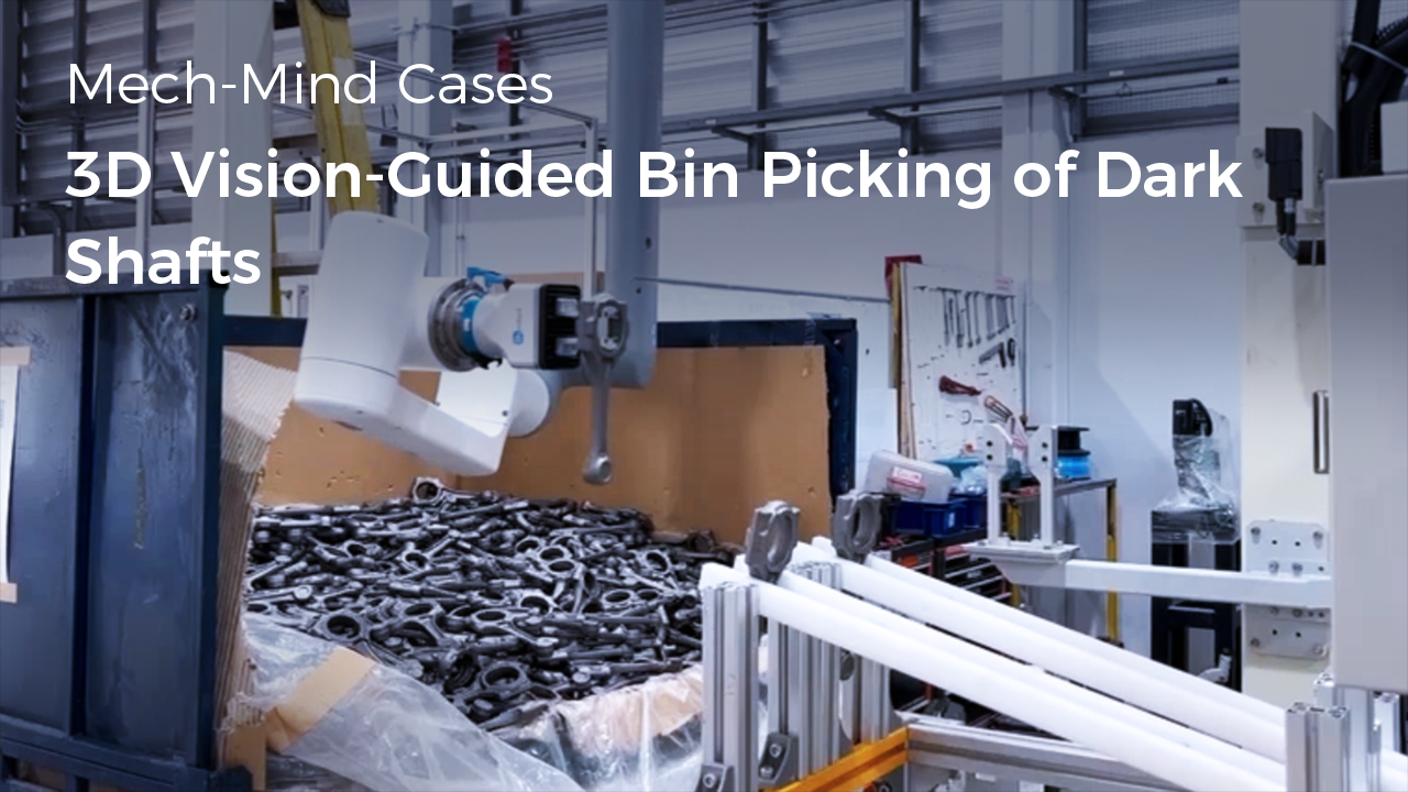 3D Vision-Guided Bin Picking of Dark Shafts