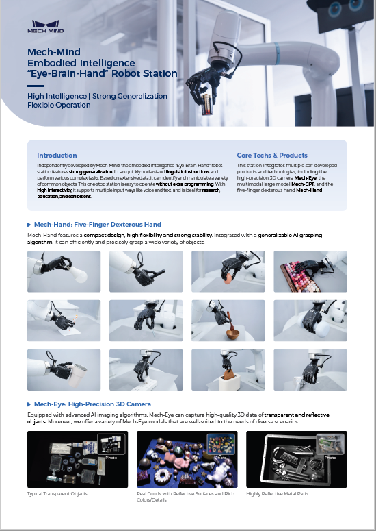 Mech-Mind Embodied Intelligence “Eye-Brain-Hand”Robot Station