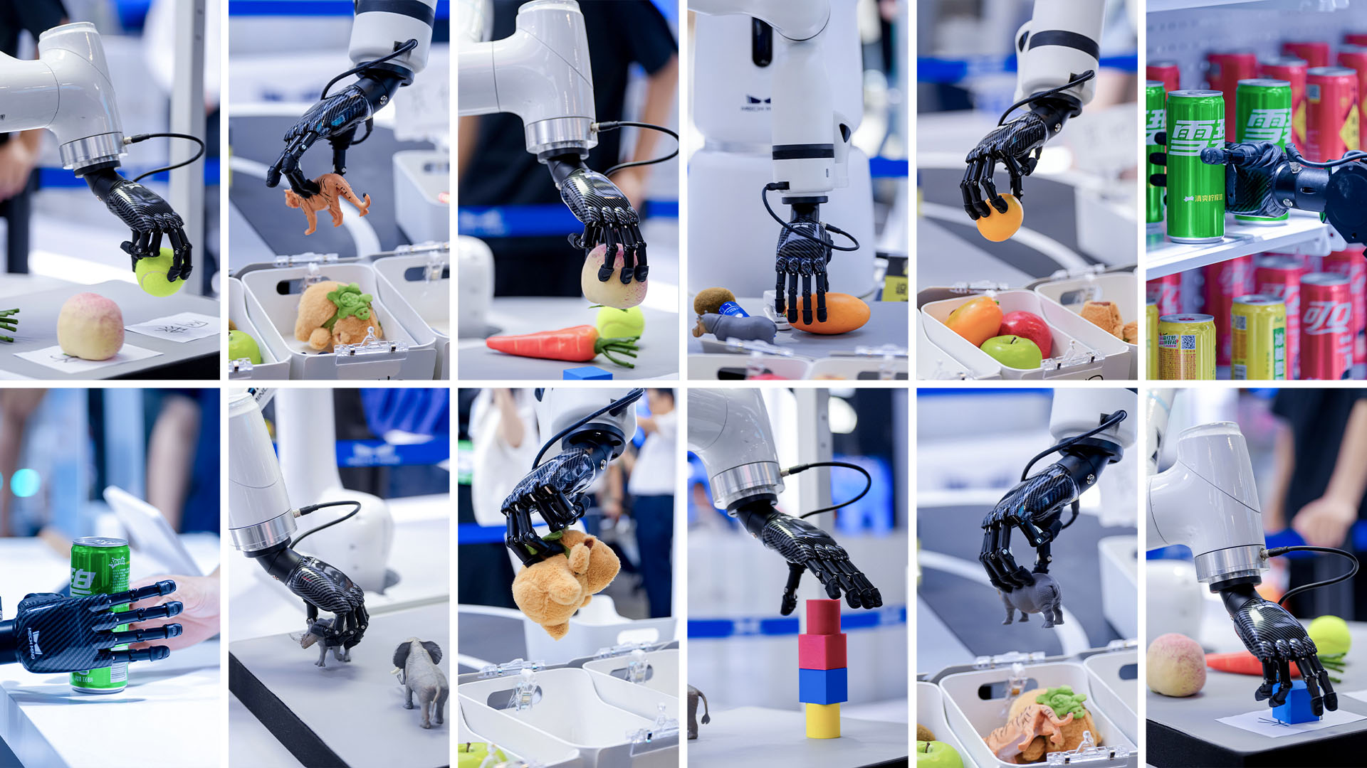 The Dexterous Hand: Why It Matters, How It Evolved, and Where It's Going