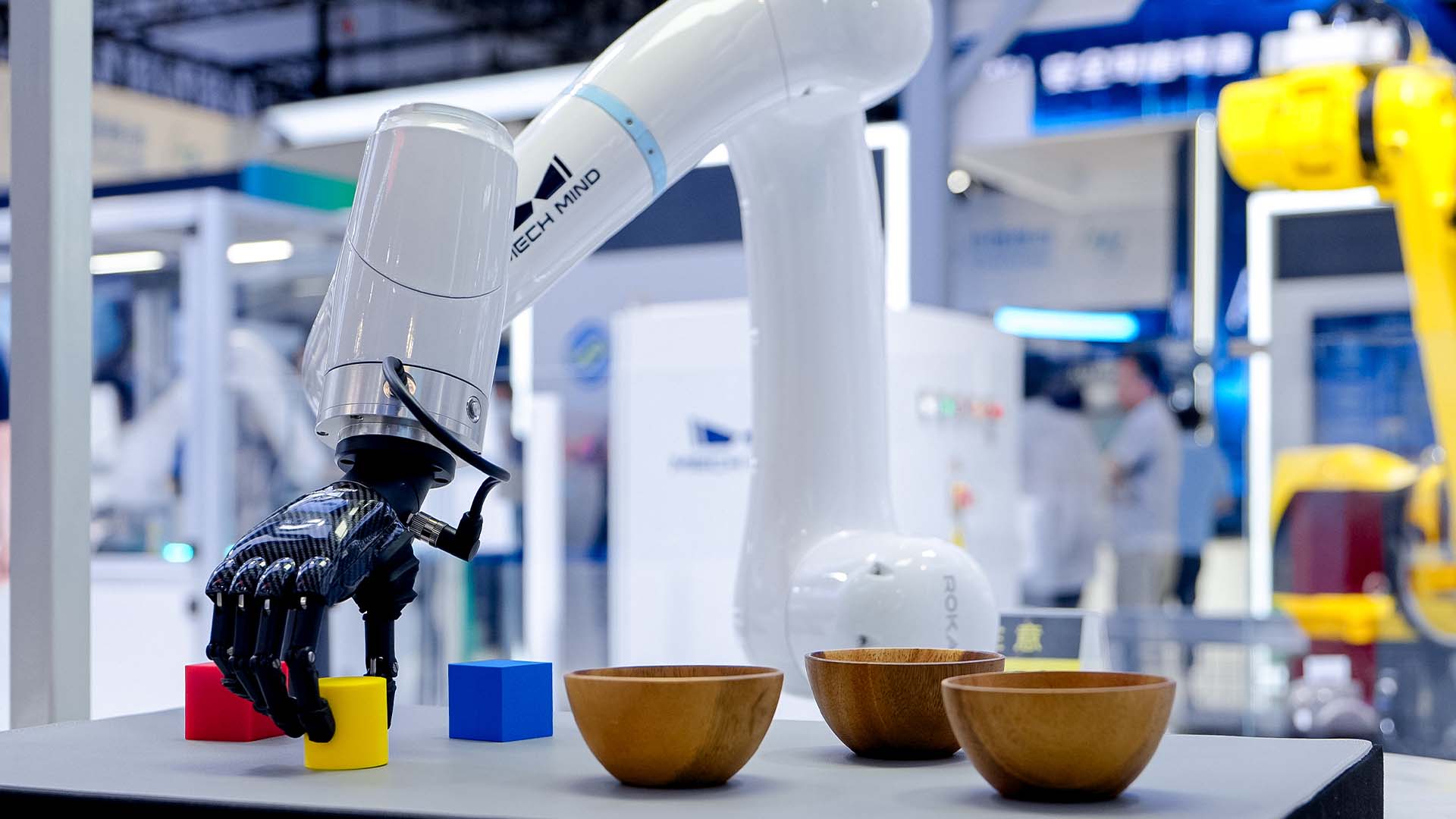 The Dexterous Hand: Why It Matters, How It Evolved, and Where It's Going