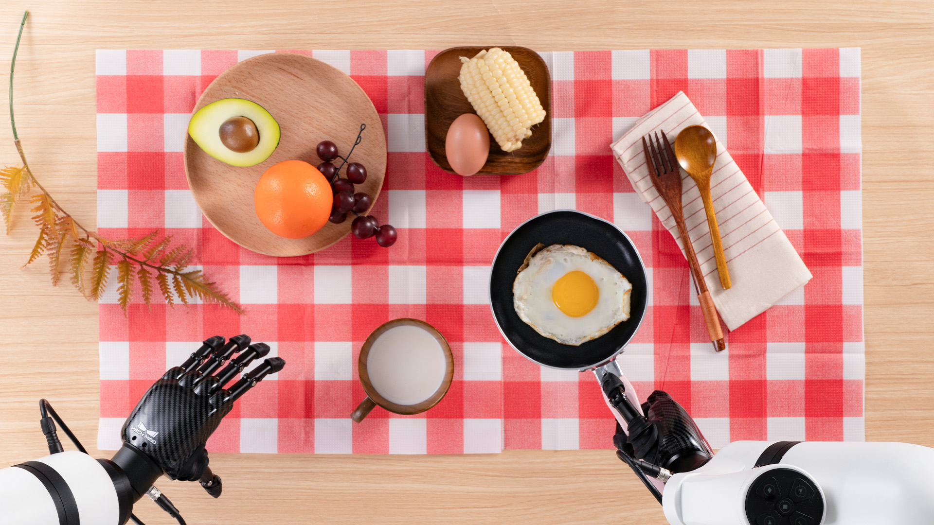 The Dexterous Hand: Why It Matters, How It Evolved, and Where It's Going