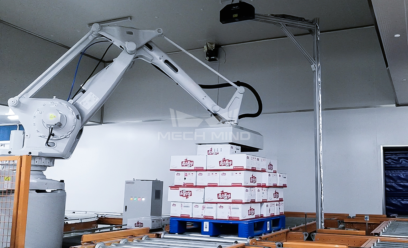 3D Vision-Guided Case Depalletizing 