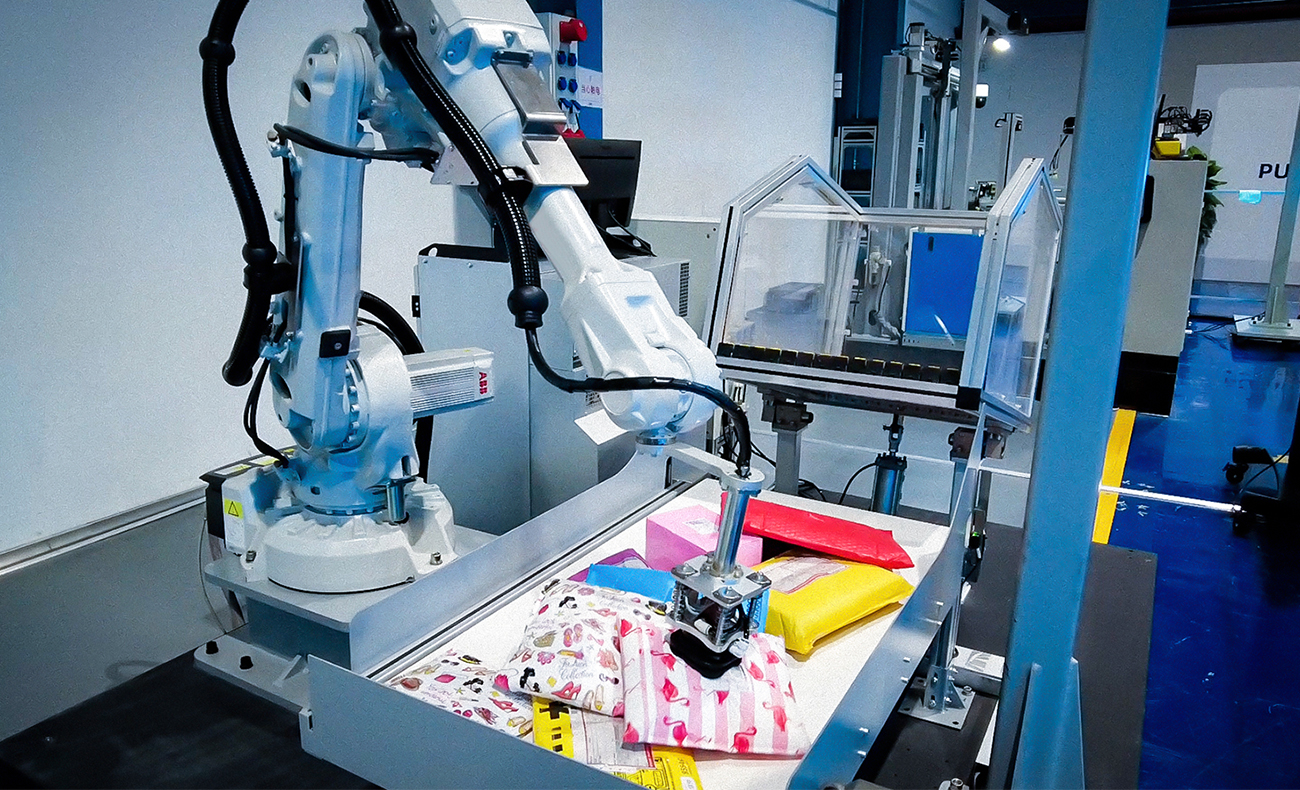 3D Vision-Guided Parcel Induction