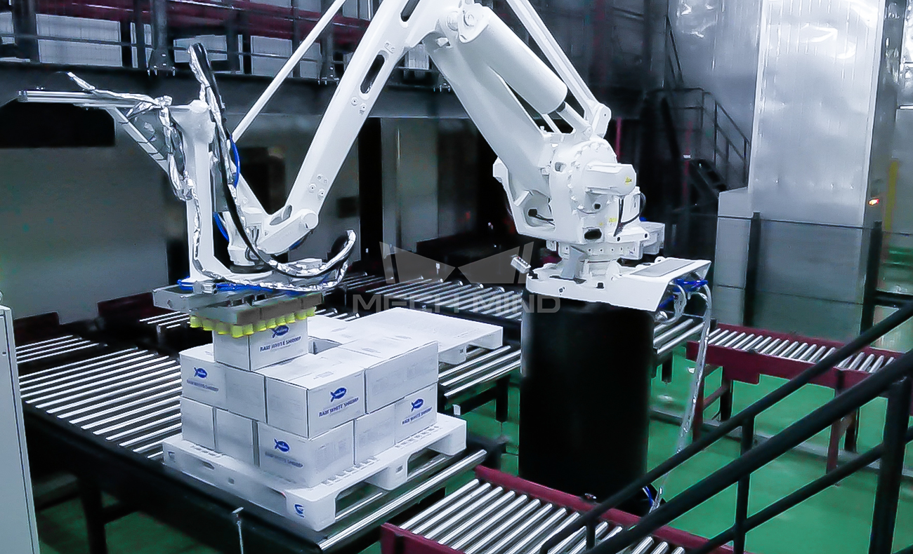 3D Vision-Guided Case Depalletizing