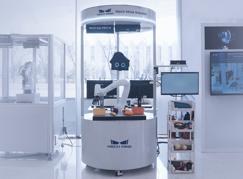 Embodied Intelligence “Eye-Brain-Hand” Robot Station