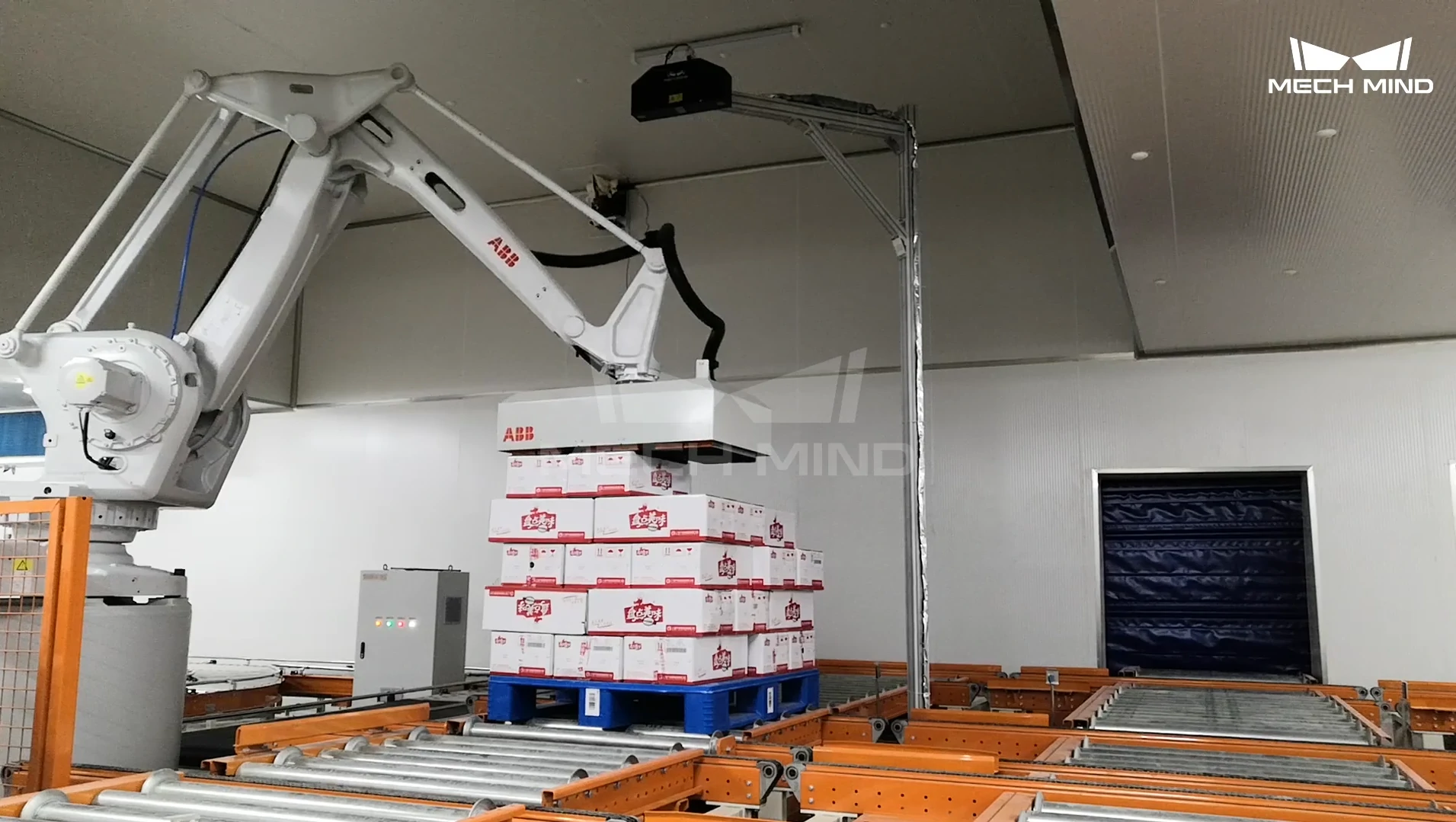 3D Vision-Guided Carton Depalletizing