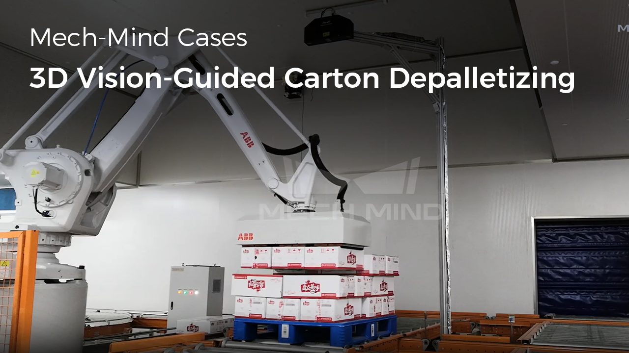 3D Vision-Guided Carton Depalletizing