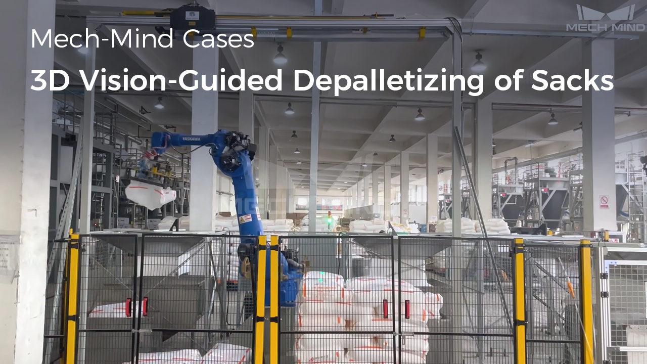 3D Vision-Guided Depalletizing of Sacks