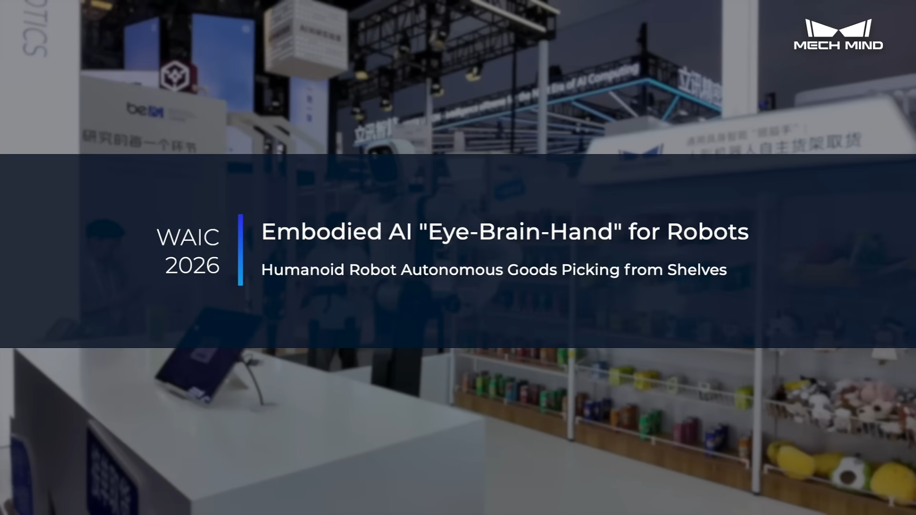 Embodied AI “Eye-Brain-Hand” for Robots: Humanoid Robot Autonomous Goods Picking from Shelves