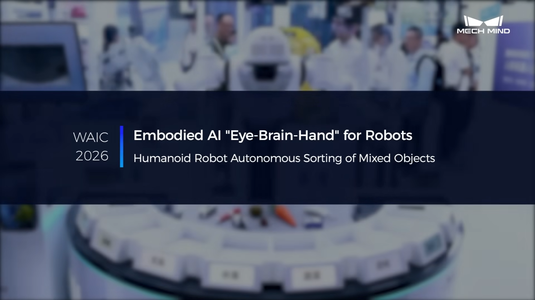 Embodied AI “Eye-Brain-Hand” for Robots: Humanoid Robot Autonomous Sorting of Mixed Objects