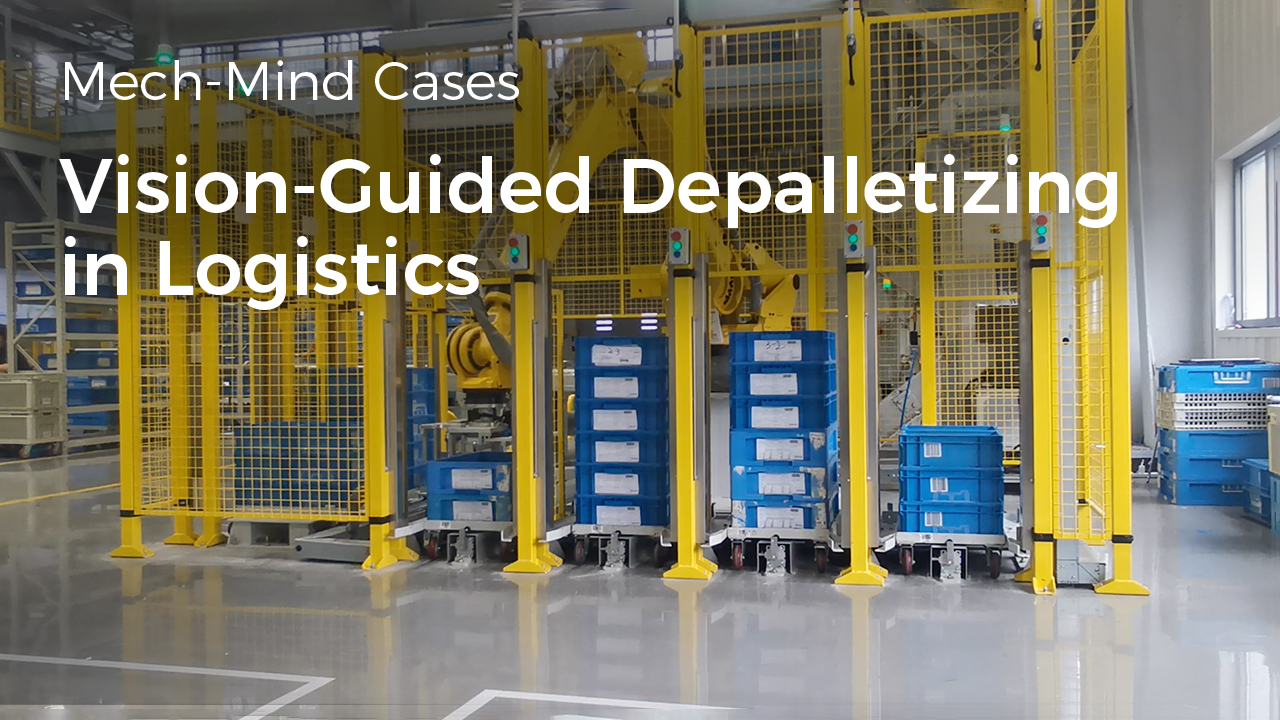 3D Vision-Guided Tote Depalletizing