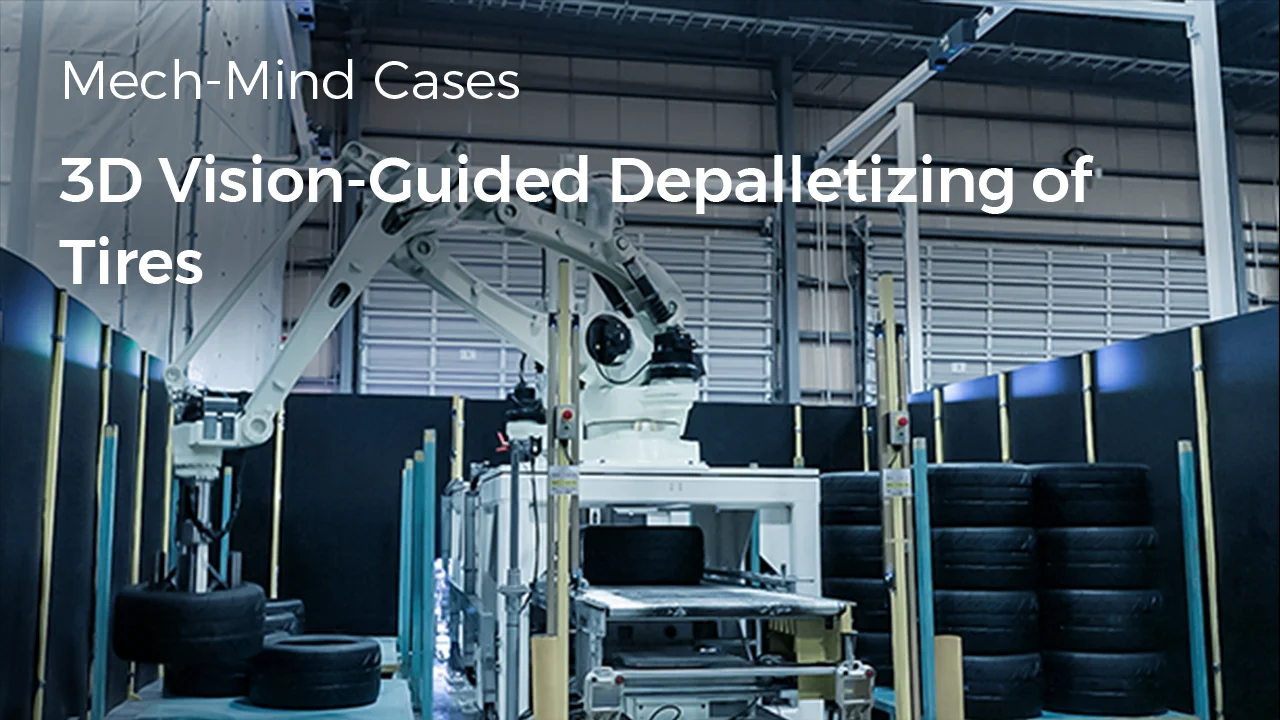 3D Vision-Guided Depalletizing of Tires