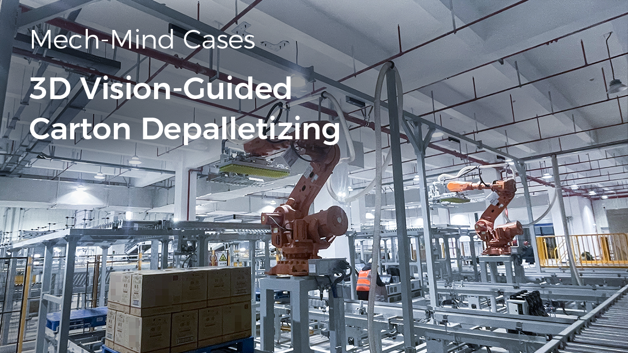 3D Vision-Guided Carton Depalletizing in the Food & Beverage Industry